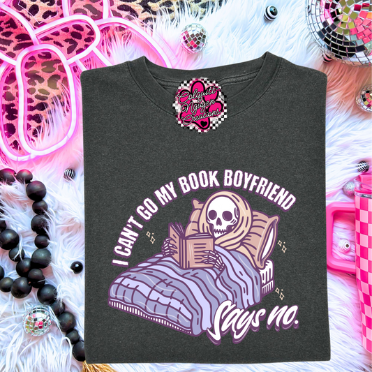 I Can't My Book Boyfriend Said No